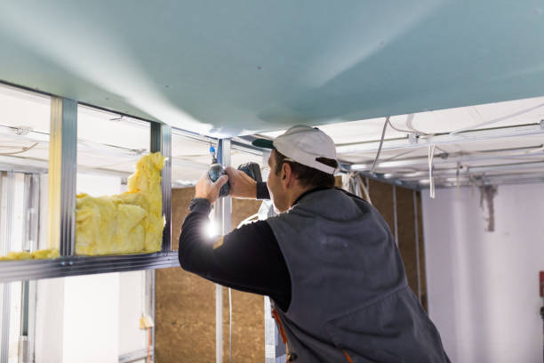 Best Commercial Insulation in Woodfin, NC