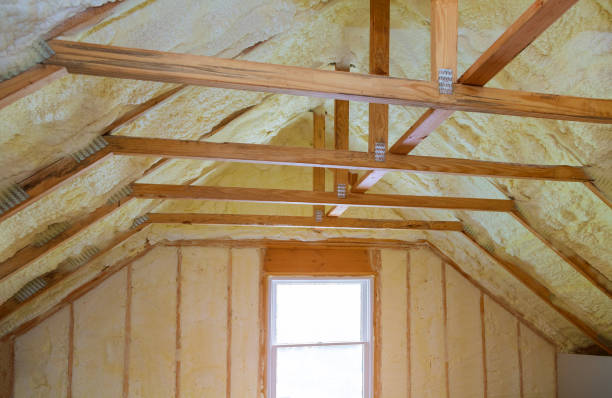 Best Geographic-Specific Insulation Services in Woodfin, NC