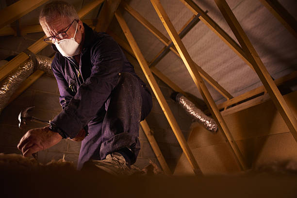 Best Residential Insulation in Woodfin, NC